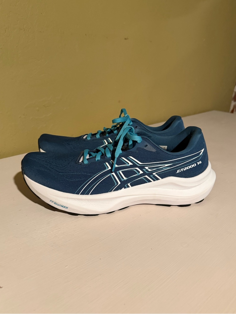 ASICS GT 2000 14 Women's Size 11
